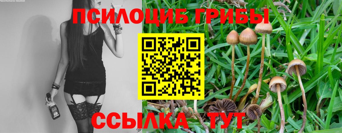 Псилоцибиновые грибы мицелий Шатура