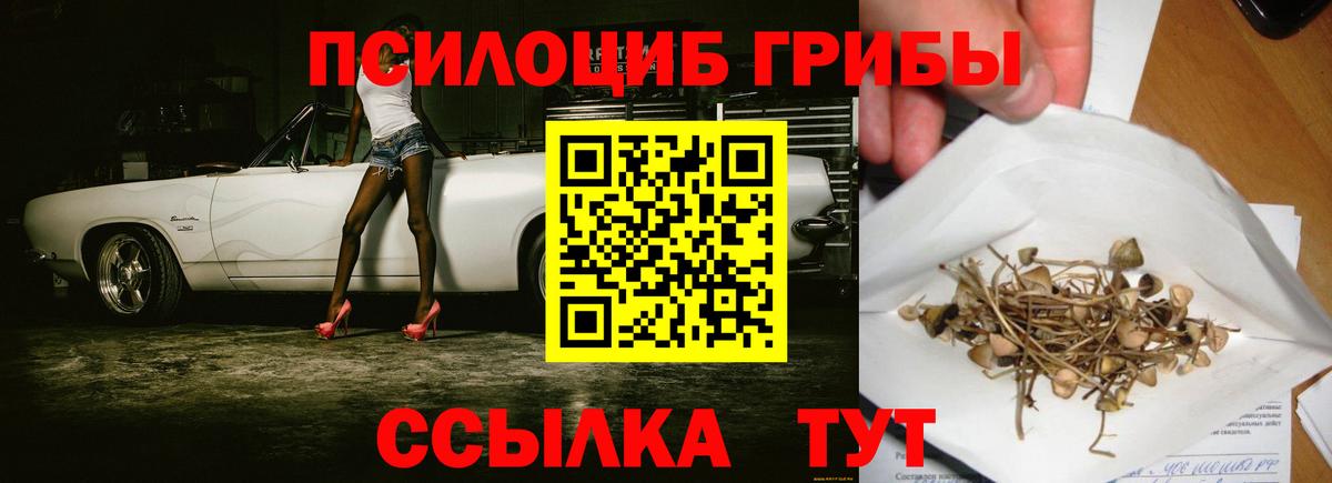 Галлюциногенные грибы мухоморы  Вход с VPN  Шатура 
